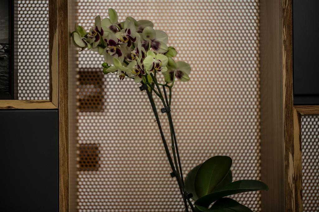 The Boutique Napoli Suite Extérieur photo